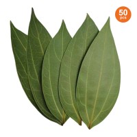 AlgoLaser Cinnamon Leaf for Engraving (50pcs)